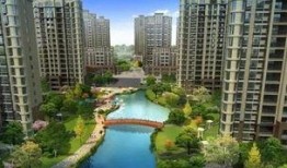 华府政治在线观看,揭秘美国政治风云